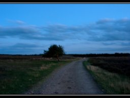 IMGP2884-Nat-over-Kongenshusmindepark